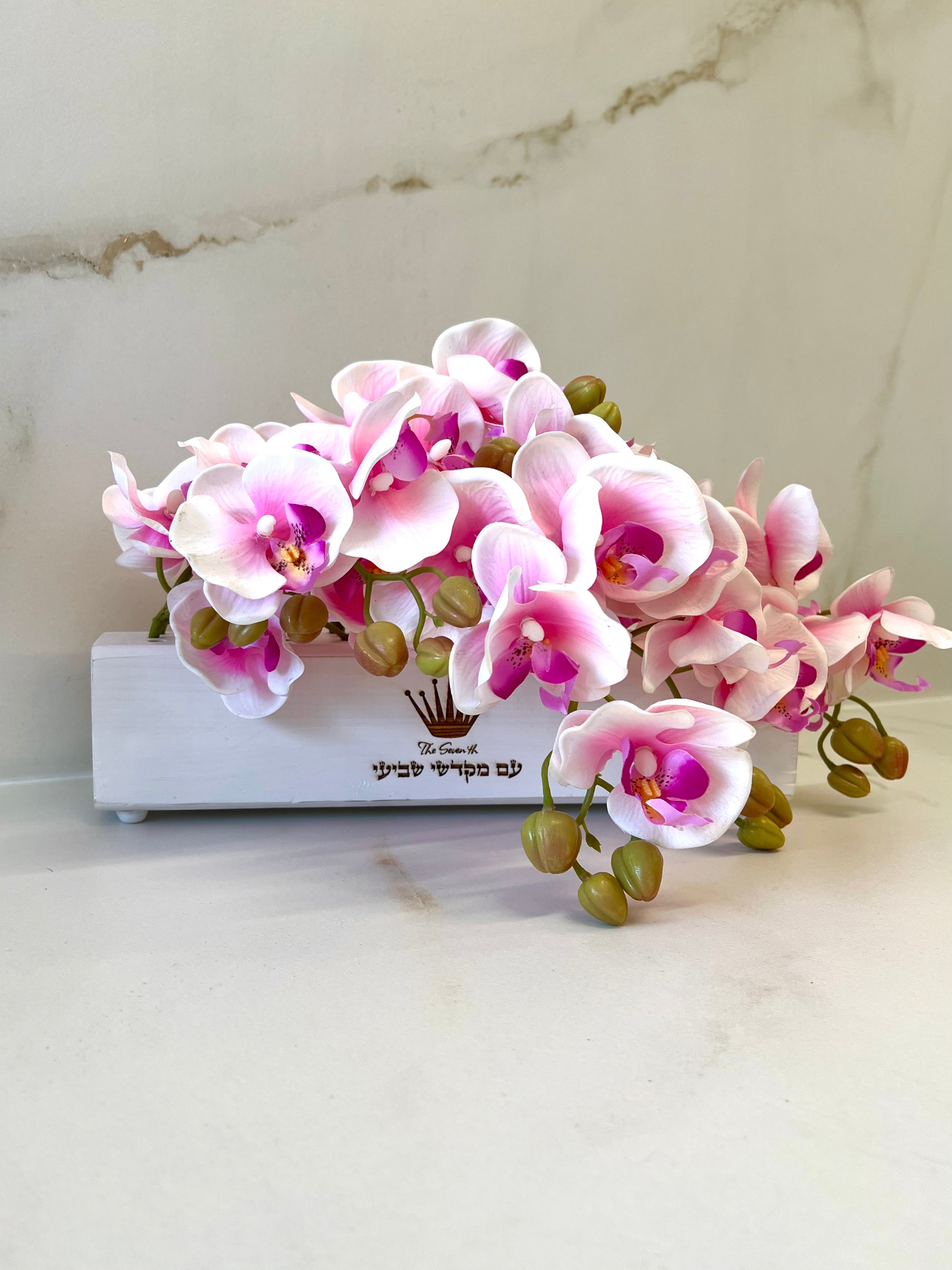 Cream orchids