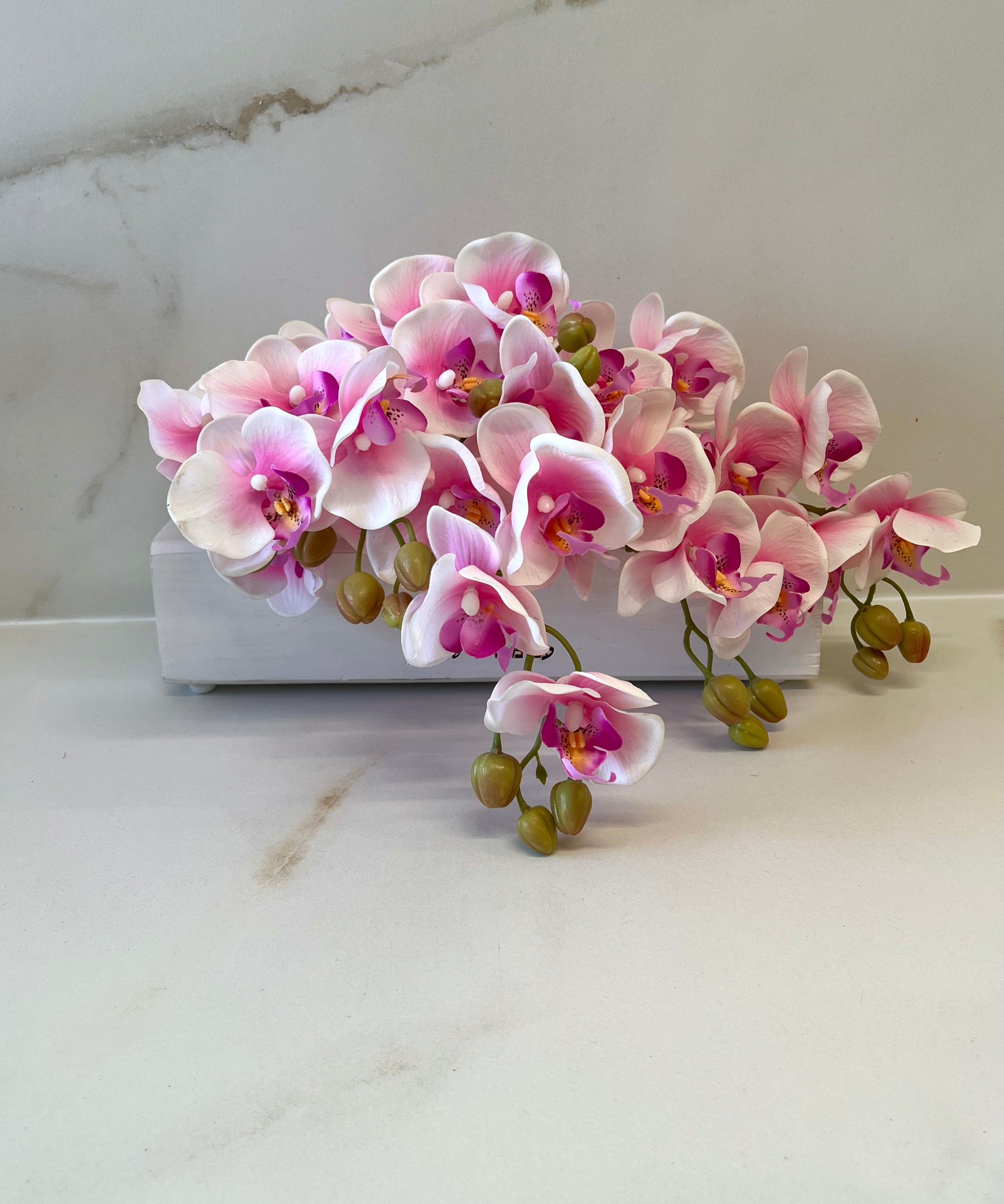 Cream orchids