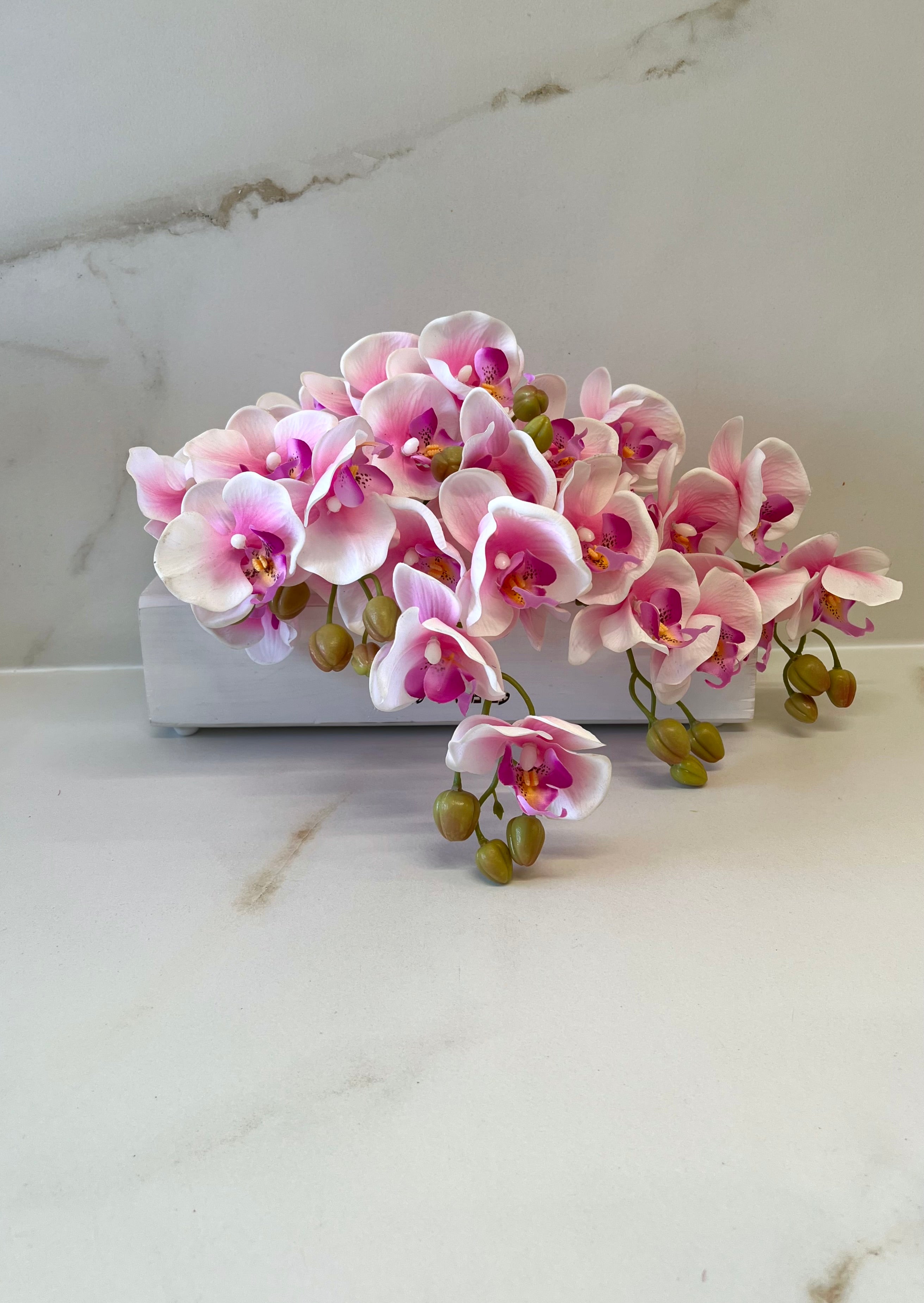 Cream orchids