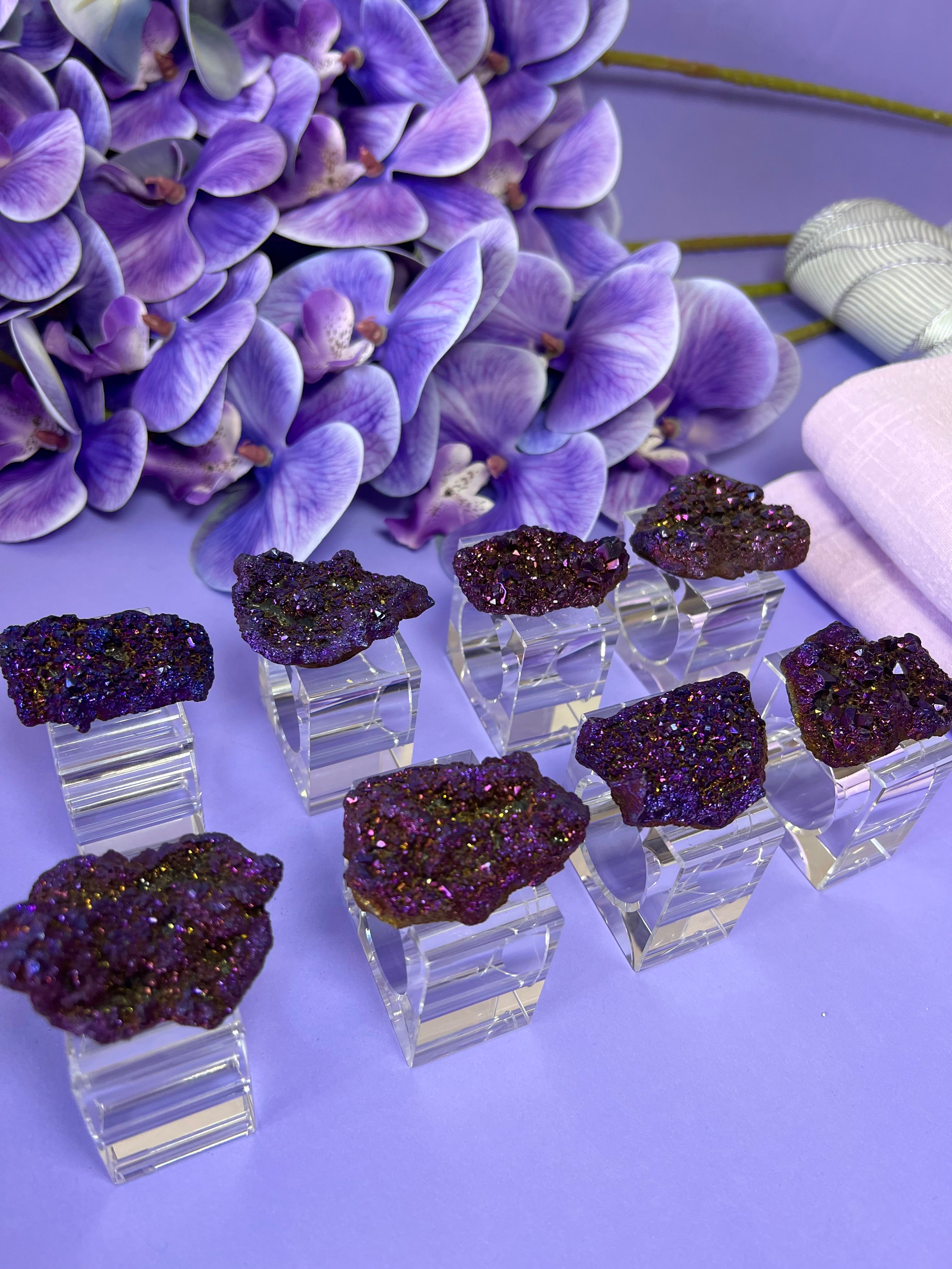 Am Segoula Luxury box