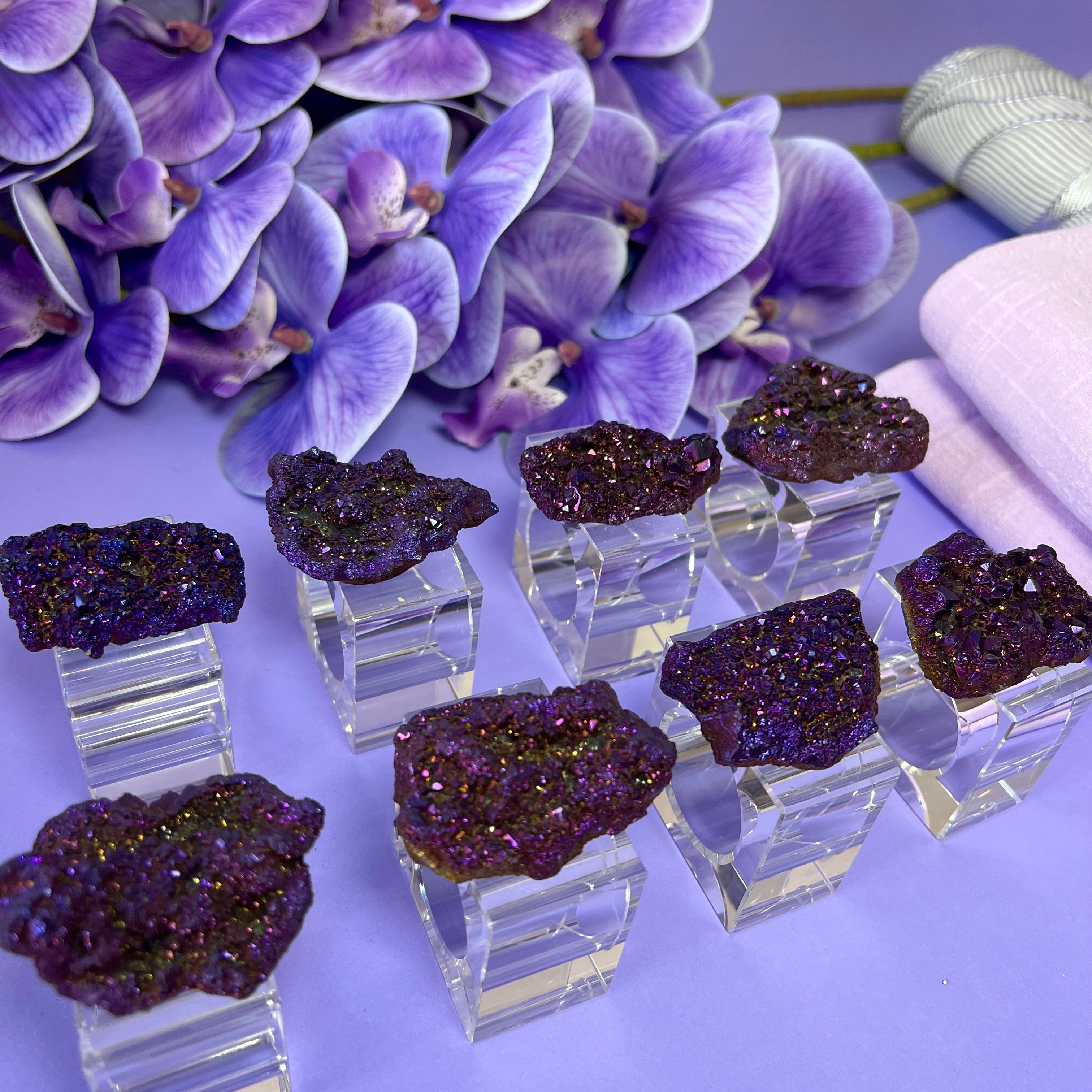 Am Segoula Luxury box