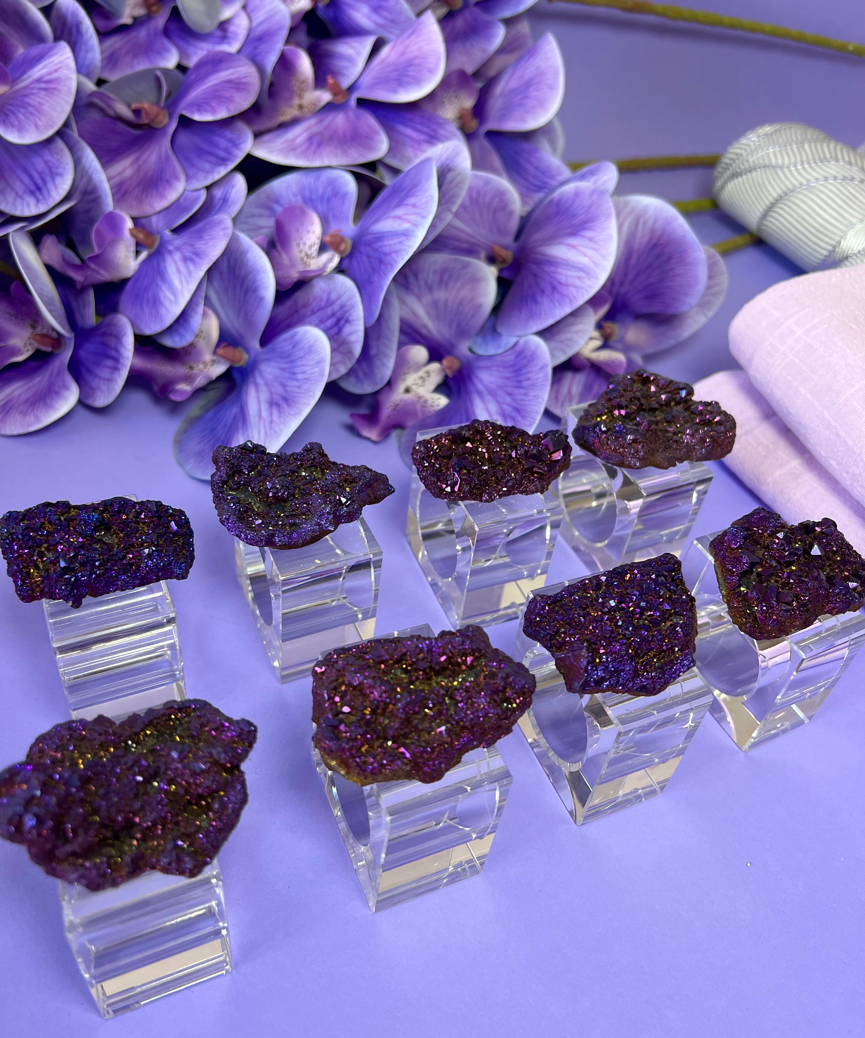 Am Segoula Luxury box